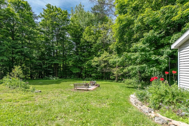 36 Valkill Dr, Poughkeepsie, NY 12601 - view of green lawn