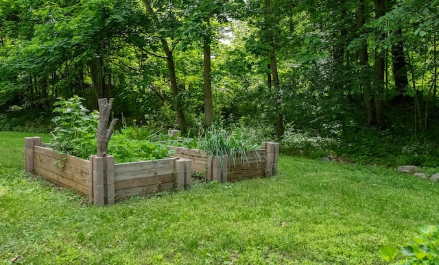 36 Valkill Dr, Poughkeepsie, NY 12601 - view of green lawn with a garden