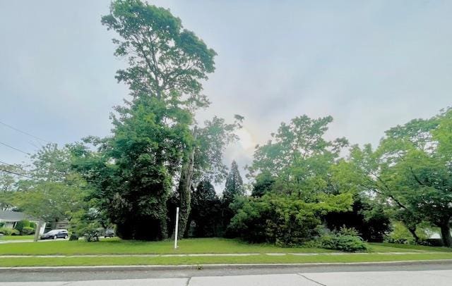 230 Park Ave, Freeport, NY 11520 - photo 22