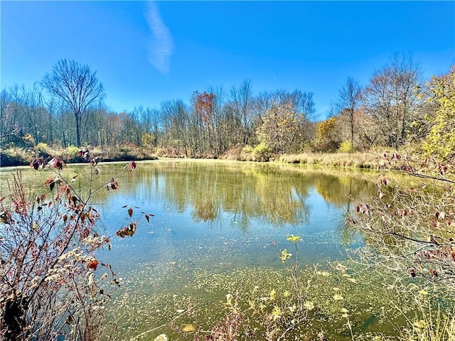 255 Howells Rd, Middletown, NY 10940 - water view with a forest