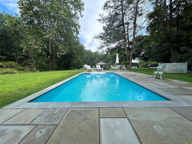 83 Tennanah Lake Rd, Roscoe, NY 12776 - swimming pool featuring a patio area, a lawn, and view of wooded area