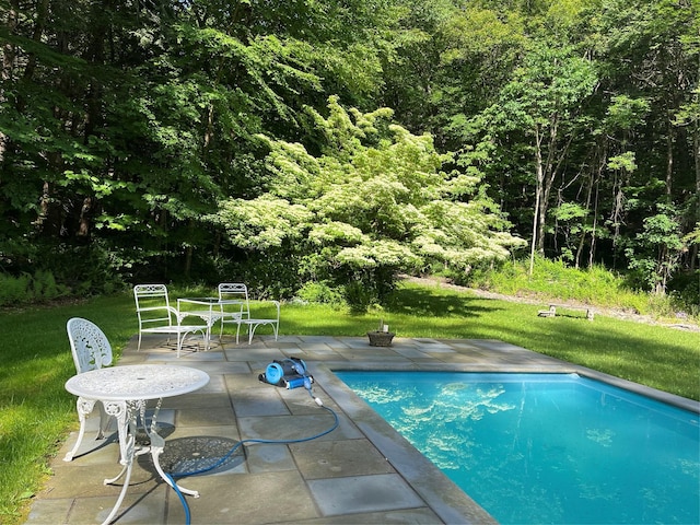 83 Tennanah Lake Rd, Roscoe, NY 12776 - outdoor pool with a patio area, a lawn, and a wooded view
