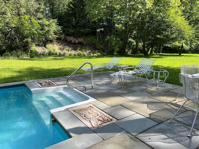 83 Tennanah Lake Rd, Roscoe, NY 12776 - view of swimming pool with a yard and a patio area