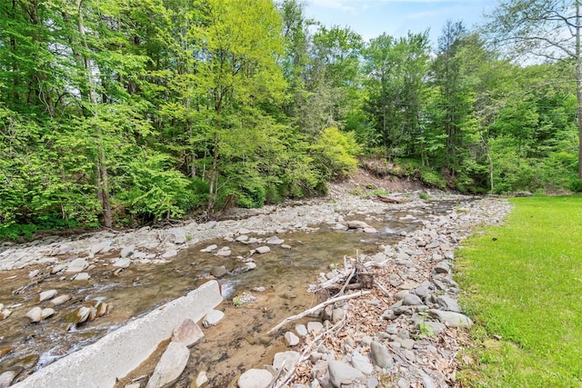 83 Tennanah Lake Rd, Roscoe, NY 12776 - view of tree filled area