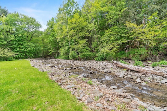 83 Tennanah Lake Rd, Roscoe, NY 12776 - view of yard with a wooded view