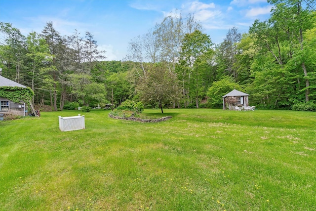 83 Tennanah Lake Rd, Roscoe, NY 12776 - view of green lawn featuring a forest view