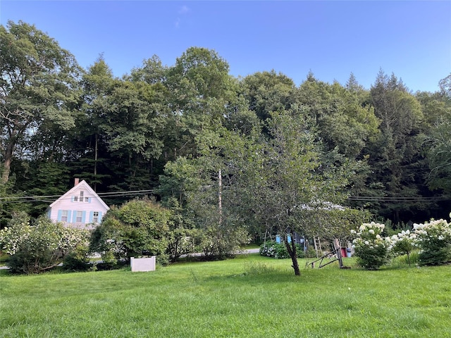83 Tennanah Lake Rd, Roscoe, NY 12776 - view of green lawn