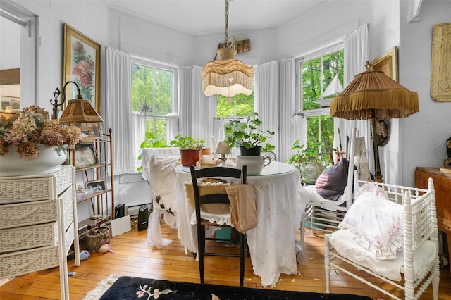 83 Tennanah Lake Rd, Roscoe, NY 12776 - dining space with wood-type flooring, healthy amount of natural light, and ornamental molding