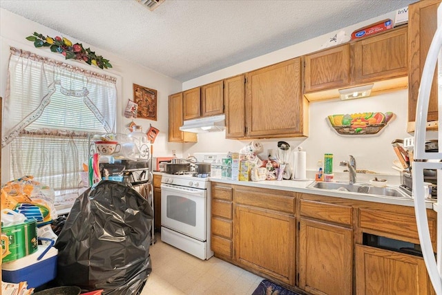 977 E 179th St, Bronx, NY 10460 - kitchen with white gas range oven, a sink, under cabinet range hood, light countertops, and a textured ceiling