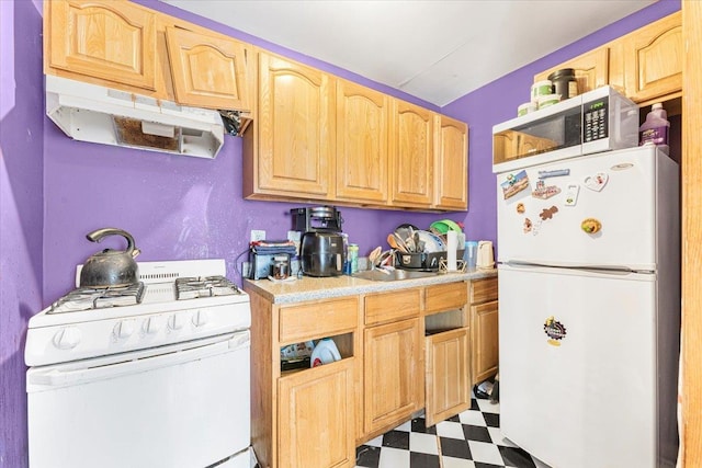 977 E 179th St, Bronx, NY 10460 - kitchen with white appliances, under cabinet range hood, tile patterned floors, light brown cabinetry, and light countertops