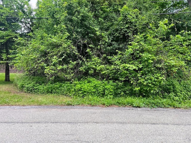12 Hinchcliffe Dr, Newburgh, NY 12550 - photo 3