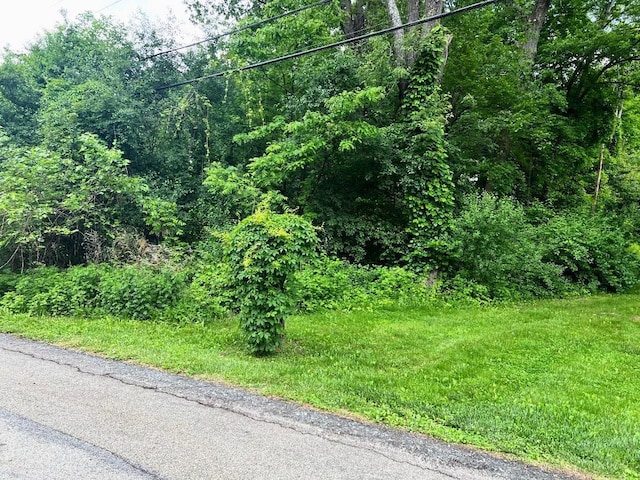 12 Hinchcliffe Dr, Newburgh, NY 12550 - photo 4