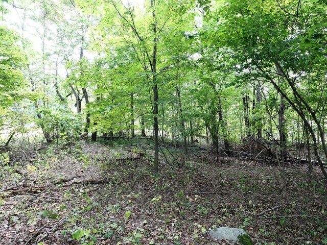12 Hinchcliffe Dr, Newburgh, NY 12550 - photo 9