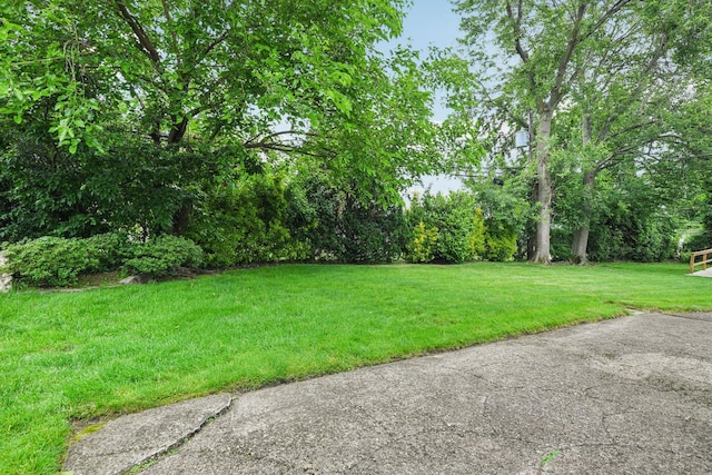 904 Woodmere Dr, North Woodmere, NY 11581 - view of green lawn