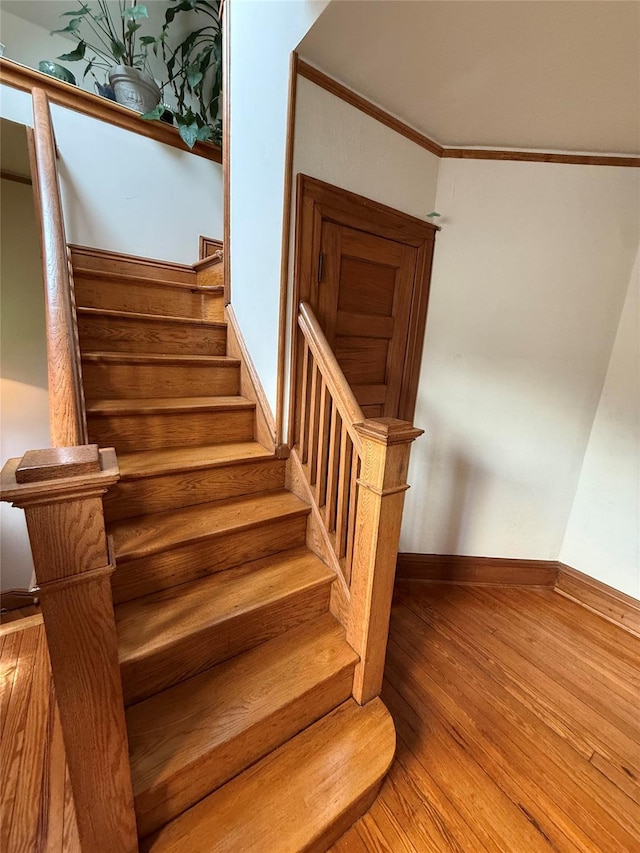 20 Ridge Rd, Douglaston, NY 11363 - photo 20