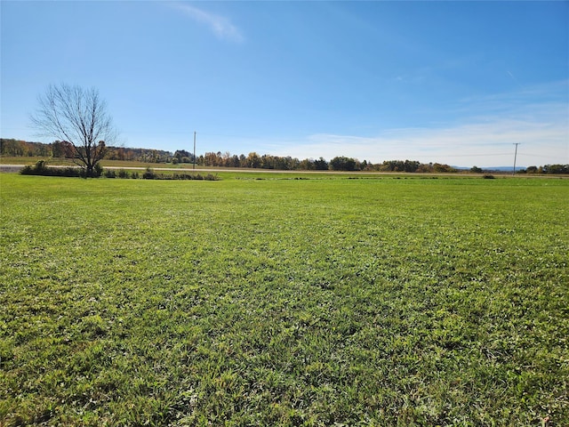 111 Klemme Rd, Root, NY 12166 - view of green lawn featuring a rural view