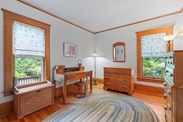 175 Ivy St, Oyster Bay, NY 11771 - photo 24