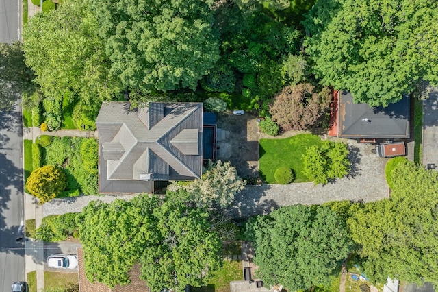 175 Ivy St, Oyster Bay, NY 11771 - photo 34