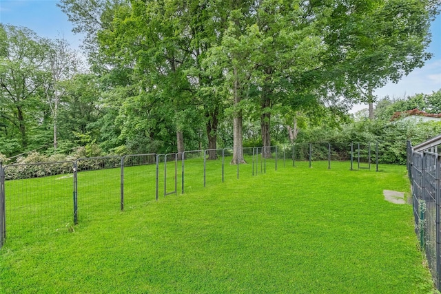 38 Degarmo Hills Rd, Wappingers Falls, NY 12590 - view of yard