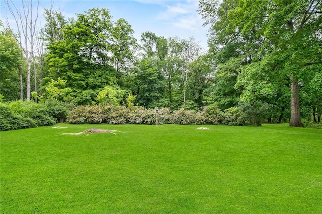 38 Degarmo Hills Rd, Wappingers Falls, NY 12590 - view of grassy yard