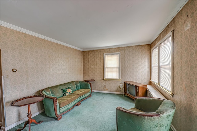 154 Randolph Ave, Franklin Square, NY 11010 - photo 4