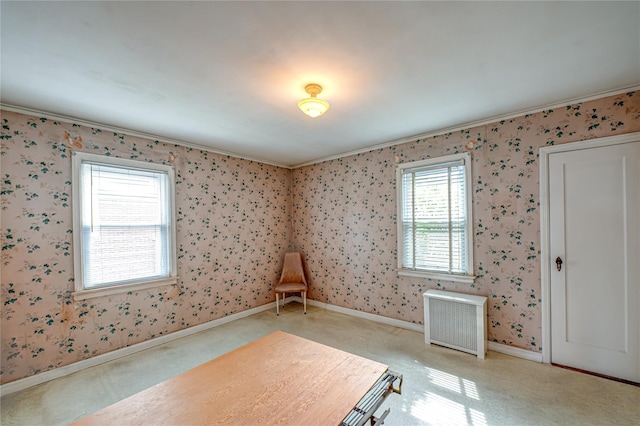 154 Randolph Ave, Franklin Square, NY 11010 - photo 5