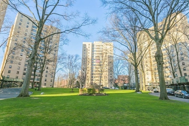 8 Fordham Hill Oval Unit 10A, Bronx, NY 10468 - photo 13