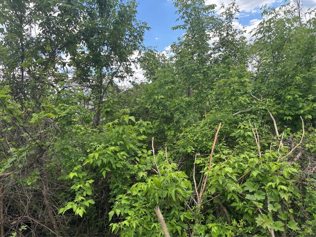 21 Washington Ave N, White Plains, NY 10603