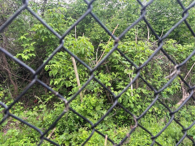 21 Washington Ave N, White Plains, NY 10603