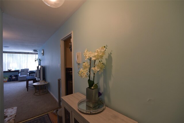 54-40 Little Neck Pkwy Unit 4A, Little Neck, NY 11362 - photo 8