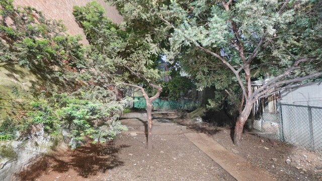 2448 Webb Ave, Bronx, NY 10468 - view of yard
