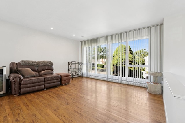 360 Robyn Pl, East Meadow, NY 11554 - living area with wood finished floors and recessed lighting