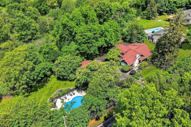 51 S Airmont Rd, Airmont, NY 10901 - drone / aerial view of a pool