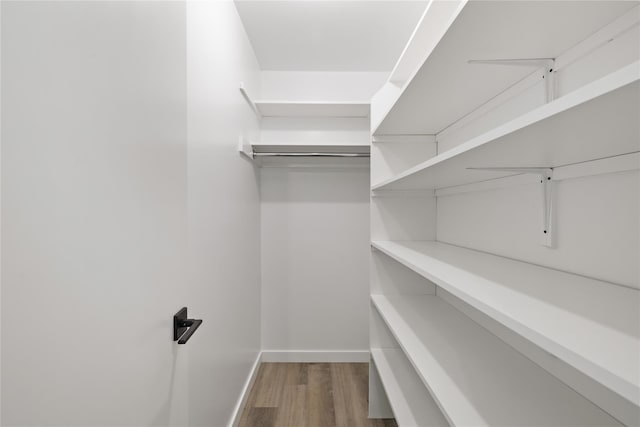 40 Singer Ave Unit 201, Spring Valley, NY 10977 - spacious closet with wood finished floors