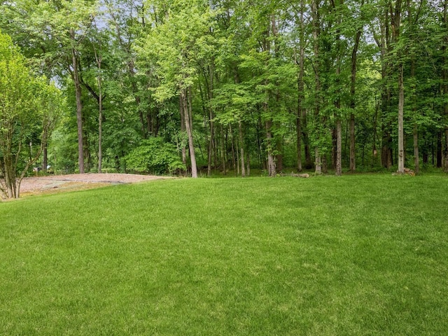 29 Sachson Pl, Wappingers Falls, NY 12590 - view of grassy yard featuring a wooded view