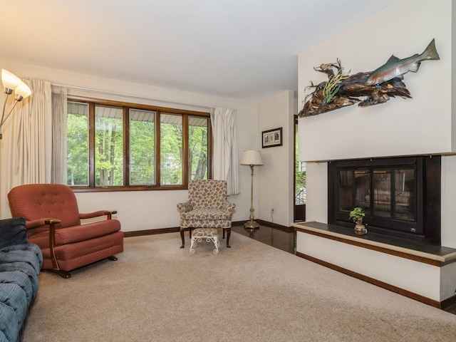 29 Sachson Pl, Wappingers Falls, NY 12590 - living room with carpet floors, baseboards, and a glass covered fireplace