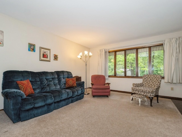 29 Sachson Pl, Wappingers Falls, NY 12590 - living room featuring carpet flooring and baseboards