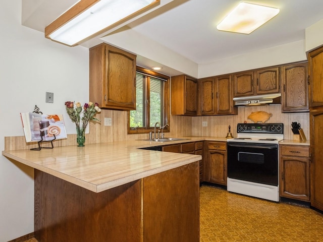 29 Sachson Pl, Wappingers Falls, NY 12590 - kitchen featuring electric range oven, a sink, under cabinet range hood, a peninsula, and light countertops