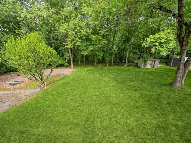 29 Sachson Pl, Wappingers Falls, NY 12590 - view of green lawn