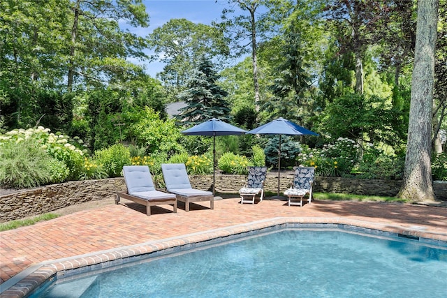 4745 N Bayview Rd, Southold, NY 11971 - swimming pool featuring a patio area and view of scattered trees