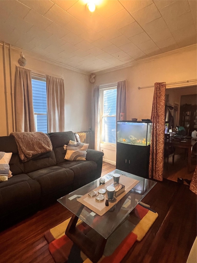 13 Hooker Ave, Poughkeepsie, NY 12601 - living area with wood finished floors, ornamental molding, and radiator heating unit