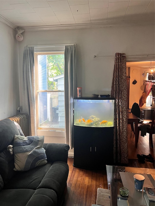 13 Hooker Ave, Poughkeepsie, NY 12601 - living area with ornamental molding, wood finished floors, and radiator