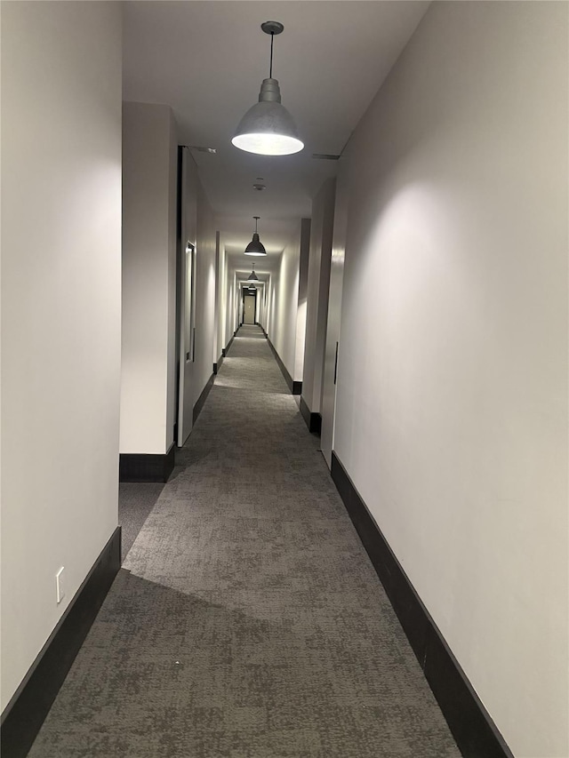 2728 Thomson Ave Unit 434, Long Island City, NY 11101 - corridor with baseboards and dark carpet