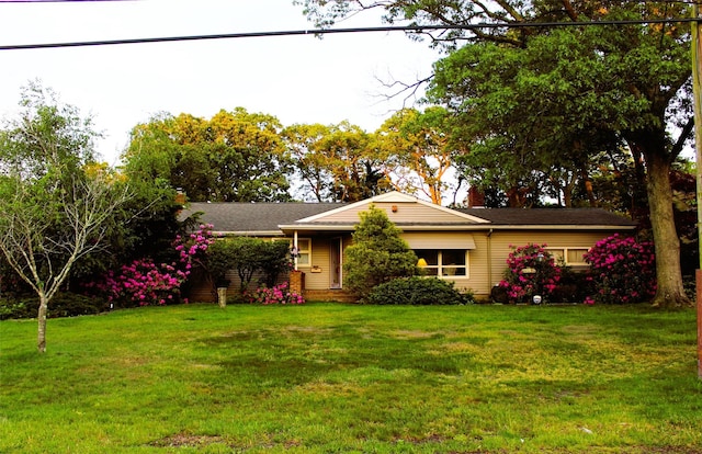 113 Pine Neck Ave, East Patchogue, NY 11772 - view of front of property featuring a front yard and a chimney