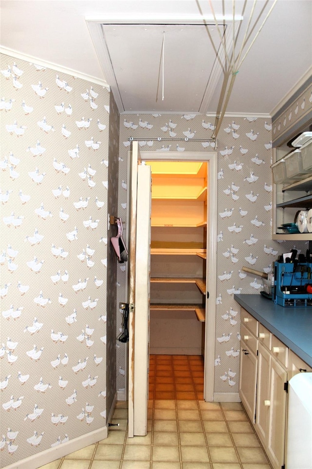 113 Pine Neck Ave, East Patchogue, NY 11772 - view of pantry