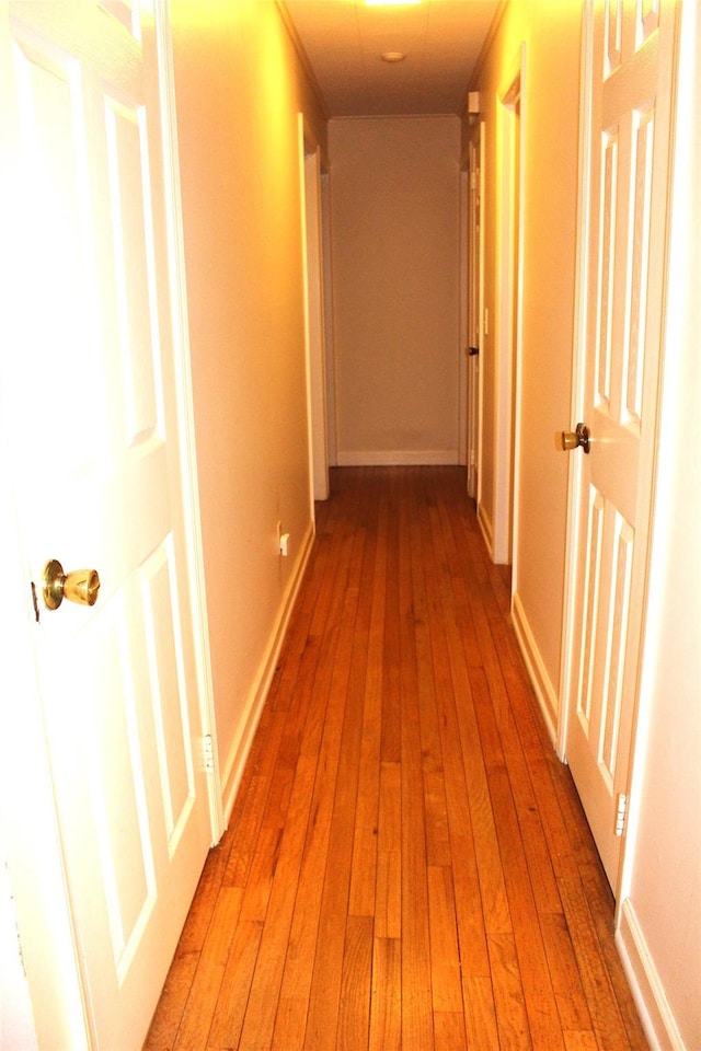 113 Pine Neck Ave, East Patchogue, NY 11772 - hall with light wood finished floors and baseboards