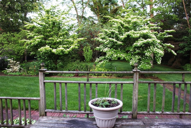 113 Pine Neck Ave, East Patchogue, NY 11772 - deck featuring a lawn