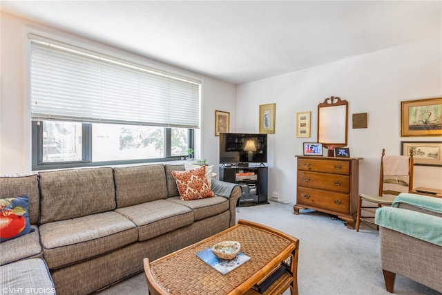 35 Stewart Pl Unit 302, Mount Kisco, NY 10549 - living area with carpet floors