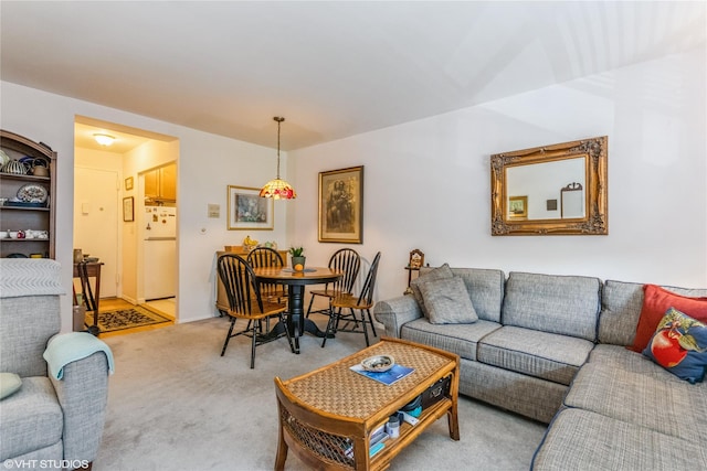 35 Stewart Pl Unit 302, Mount Kisco, NY 10549 - living room with light colored carpet