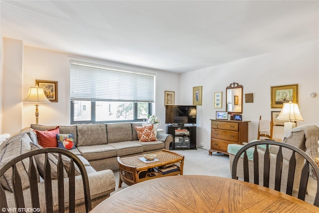 35 Stewart Pl Unit 302, Mount Kisco, NY 10549 - living area with light carpet